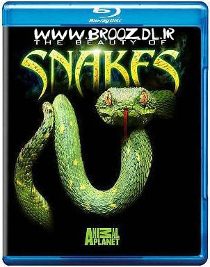http://broozdl.persiangig.com/image/Discovery%20Channel%20The%20Beauty%20of%20Snakes%20%5Bwww-broozdl-ir%5D.jpg